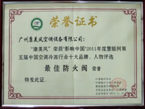 荣誉证书10